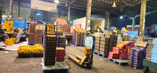 عکس حق العمل کاری برادران طاهری