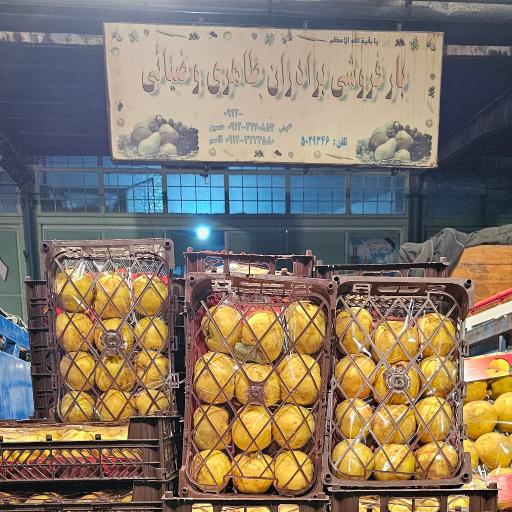 عکس حق العمل کاری برادران طاهری