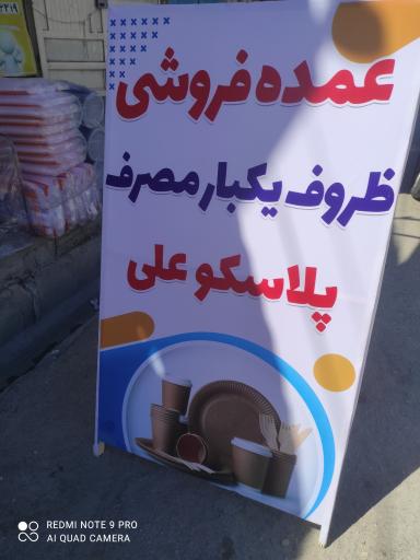 عکس پلاسکو و یکبار مصرف علی