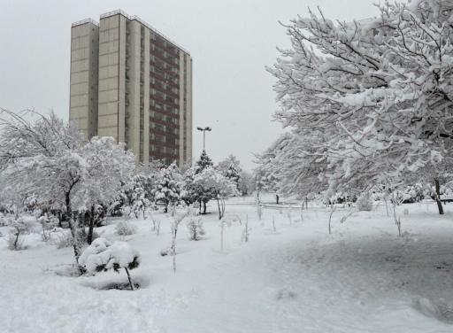 عکس شهرک لویزان 1