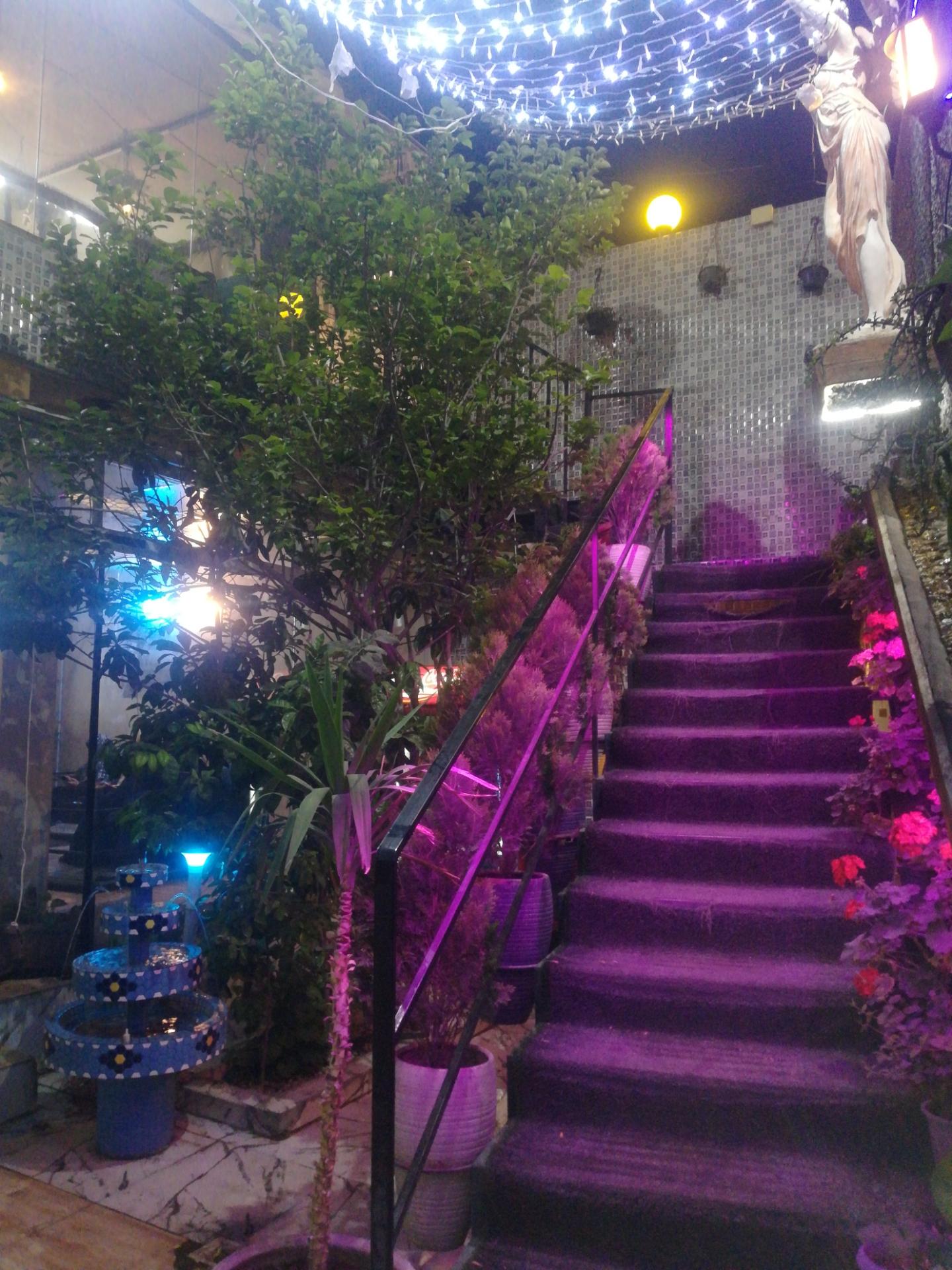 عکس باغ رستوران آندیا