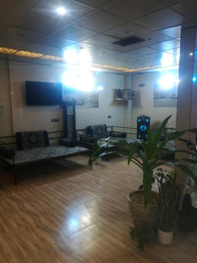 عکس باغ رستوران آندیا