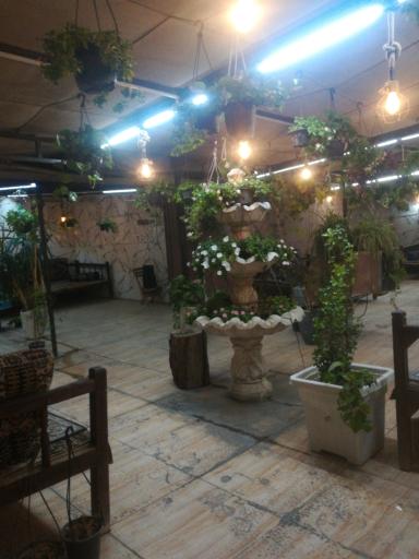 عکس باغ رستوران آندیا