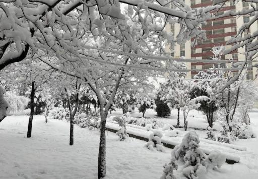 عکس شهرک لویزان 1