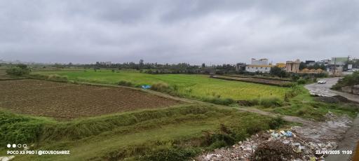 عکس تلارم
