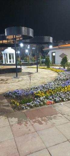 عکس باغ راه ملت