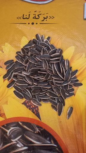 عکس تخمه پزی انگزی