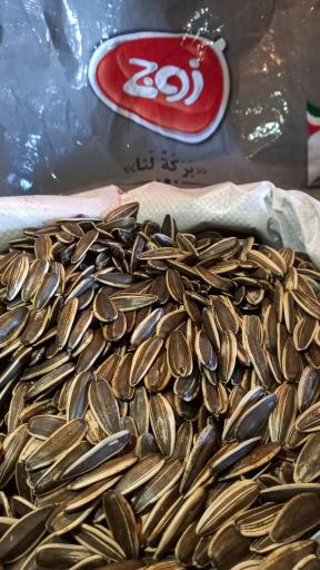 عکس تخمه پزی انگزی