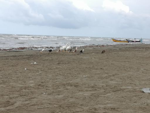 عکس ساحل کپورچال