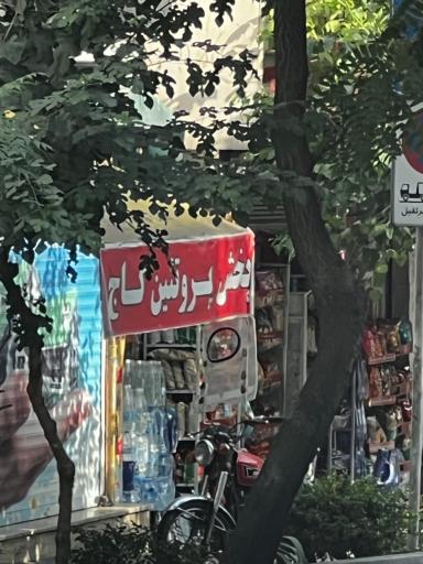 عکس پخش پروتئین کاج