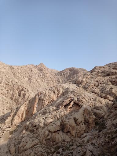 عکس اژدر کوه