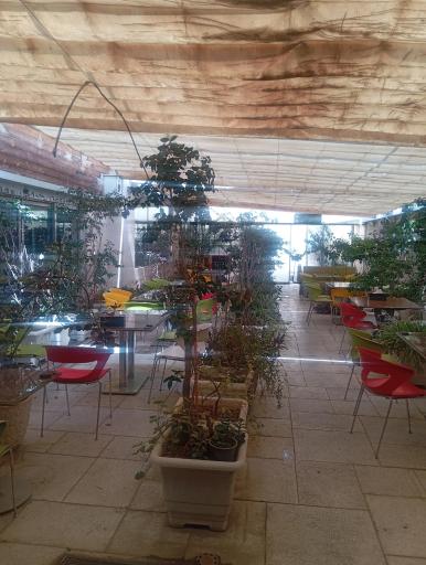 عکس فست فود الماس