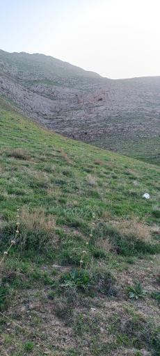 عکس اژدر کوه