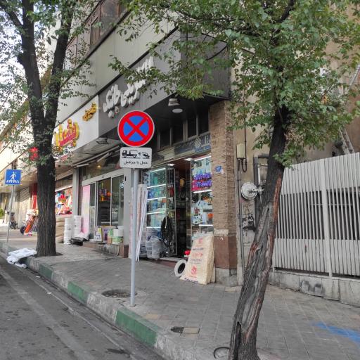 عکس الکتریکی جانیک