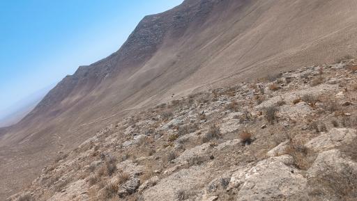 عکس اژدر کوه