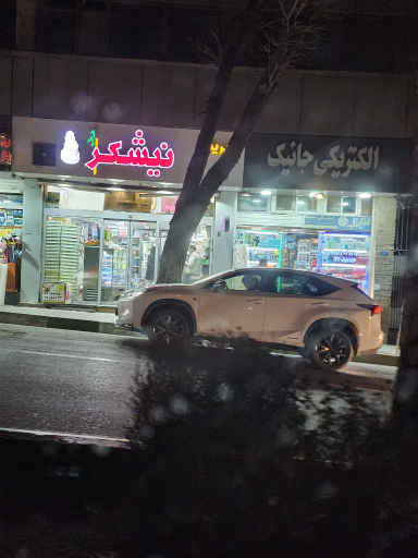 عکس الکتریکی جانیک