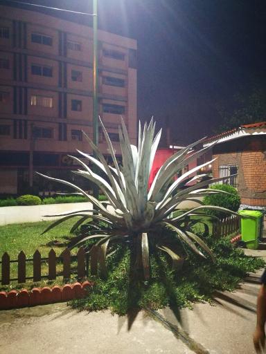 عکس پارک پردیس