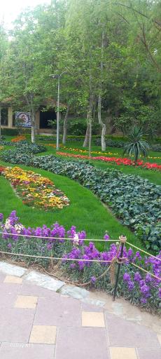 عکس باغ گلها