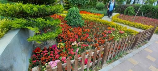 عکس باغ گلها