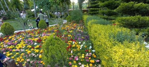 عکس باغ گلها