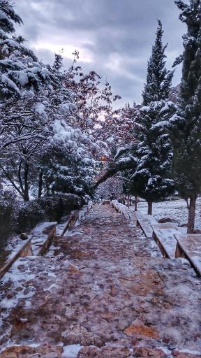 پارک کوهستان