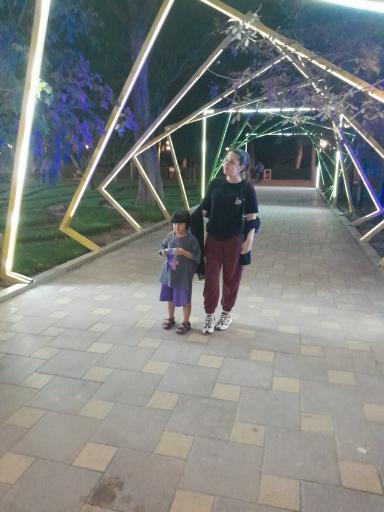 عکس باغ گلها