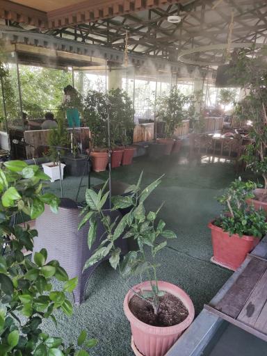 عکس رستوران شمعدانی