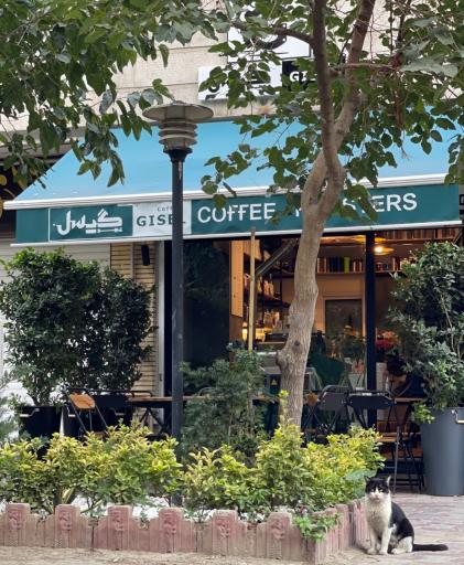 عکس کافه گیسل