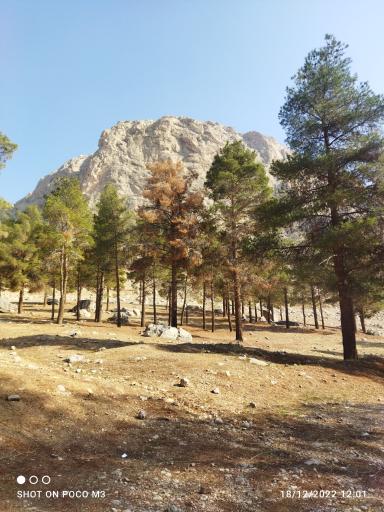 پارک کوهستان