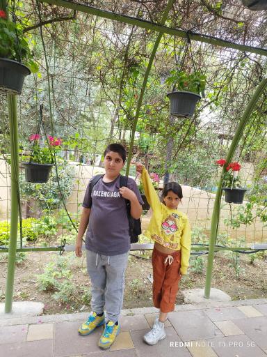 عکس باغ گلها