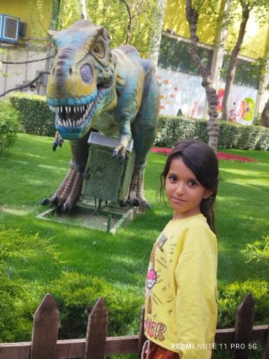 عکس باغ گلها