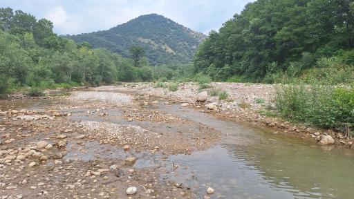 عکس رودخانه پارک ملی جنگل گلستان