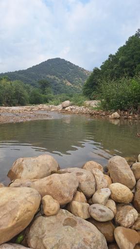 عکس رودخانه پارک ملی جنگل گلستان