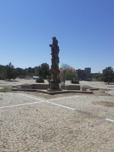 عکس درخت خشک (شبان)