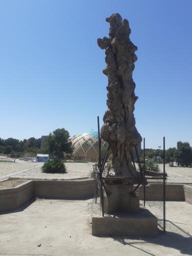 عکس درخت خشک (شبان)