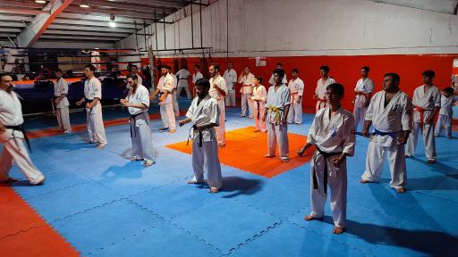 عکس کیوکوشین کاراته پولادوند۲ (کیوکوشین اویاما)