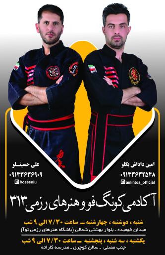 عکس باشگاه هنرهای رزمی توآ 