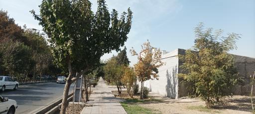 عکس بوستان خلفی