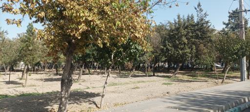 عکس بوستان خلفی