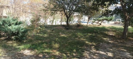 عکس بوستان خلفی