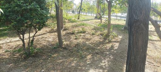 عکس بوستان خلفی