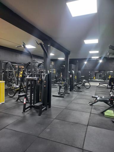 عکس باشگاه بانوان تاپ استایل