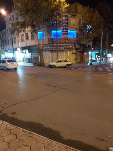 عکس عطاری و گیاهان دارویی گلچکان رومی