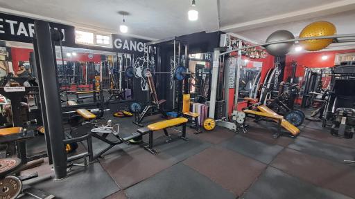 عکس باشگاه پرورش اندام ستارگان لوندویل 