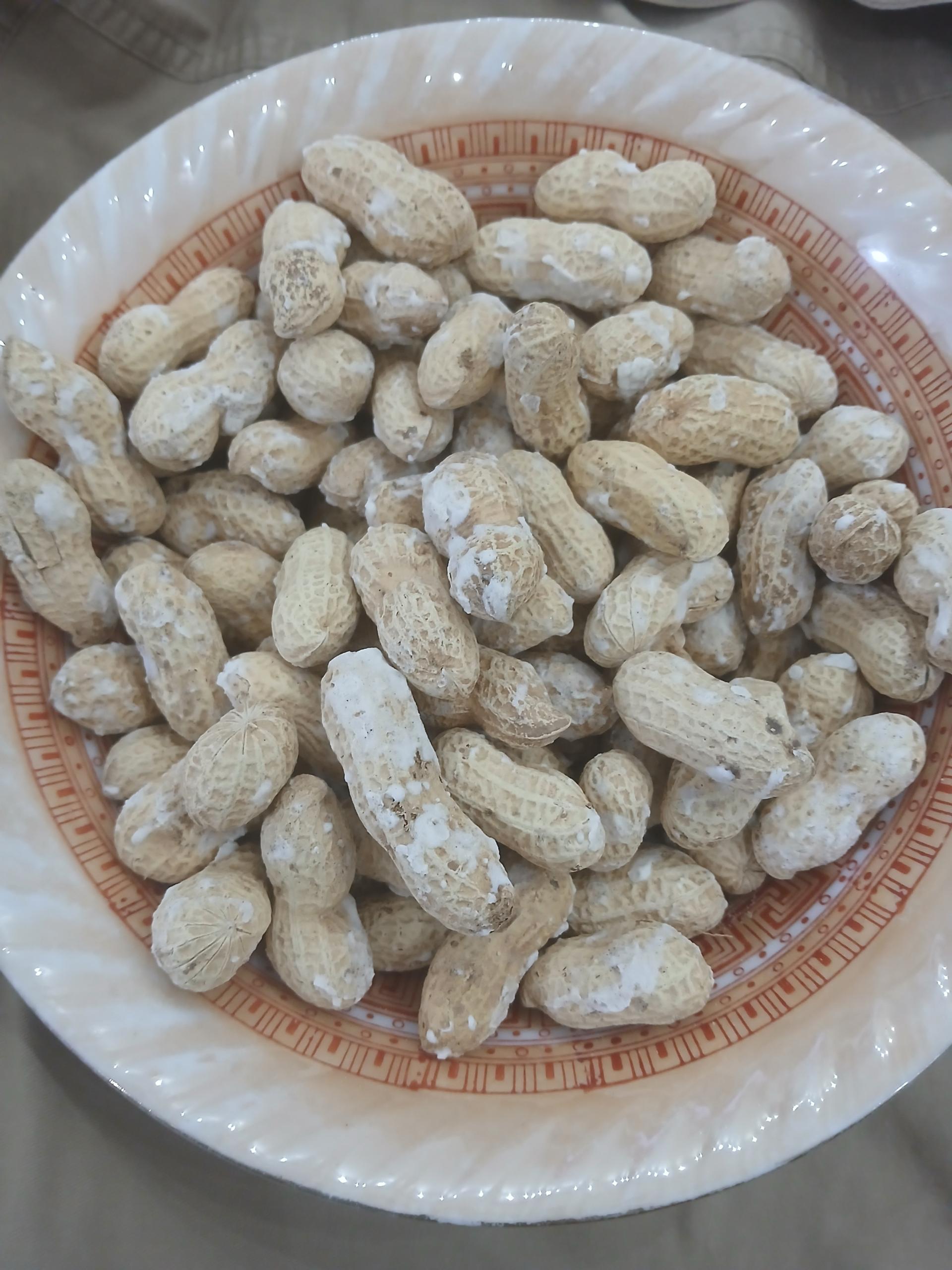 عکس آجیل گرم چق چق