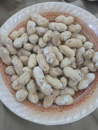 عکس آجیل گرم چق چق