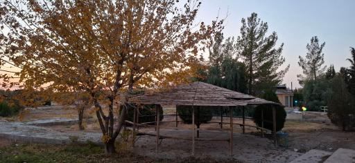 عکس دانشگاه سمنان