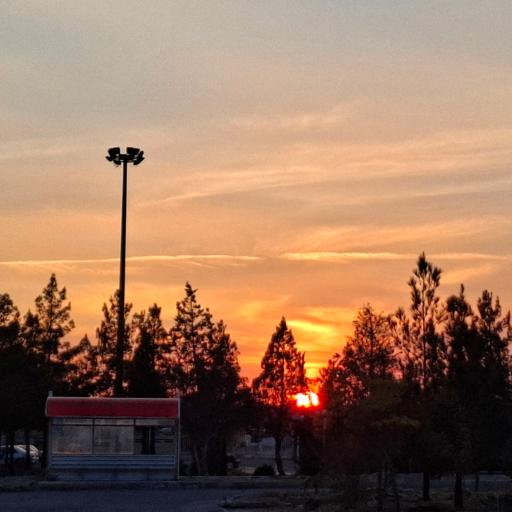 دانشگاه سمنان