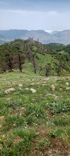 عکس کلاردشت