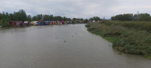 عکس کمربندی مرداب، حسین بلور